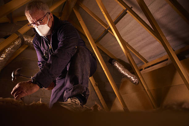 Best Eco-Friendly Insulation in Covington, OH