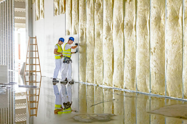 Best Commercial Insulation in Covington, OH